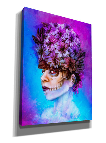 Image of 'Aurora' by Mario Sanchez Nevado, Canvas Wall Art,Size B Portrait
