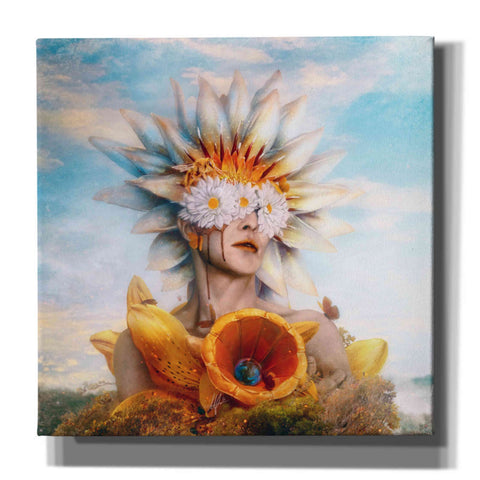 Image of 'Honey' by Mario Sanchez Nevado, Canvas Wall Art,Size 1 Square