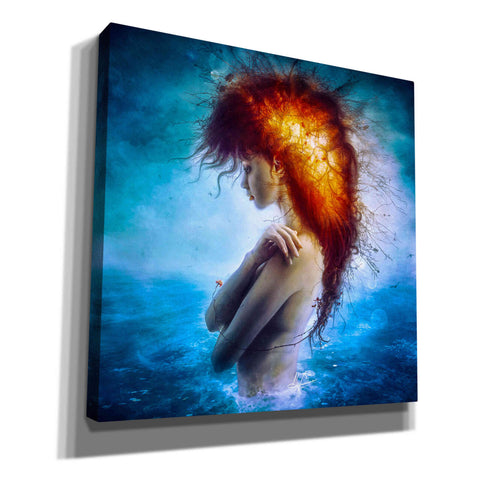 Image of 'Nirvana' by Mario Sanchez Nevado, Canvas Wall Art,Size 1 Square