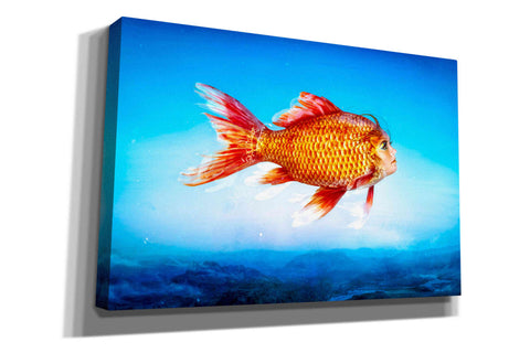 Image of 'The Outsider' by Mario Sanchez Nevado, Canvas Wall Art,Size A Landscape