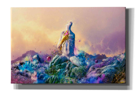 Image of 'Vulnicura' by Mario Sanchez Nevado, Canvas Wall Art,Size A Landscape