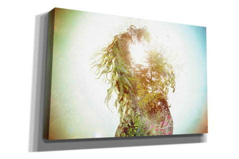 Image of 'Wisdom' by Mario Sanchez Nevado, Canvas Wall Art,Size A Landscape