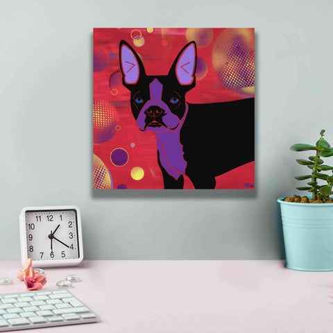Image of 'Bubbly Boston' by Angela Bond Giclee Canvas Wall Art,12x12