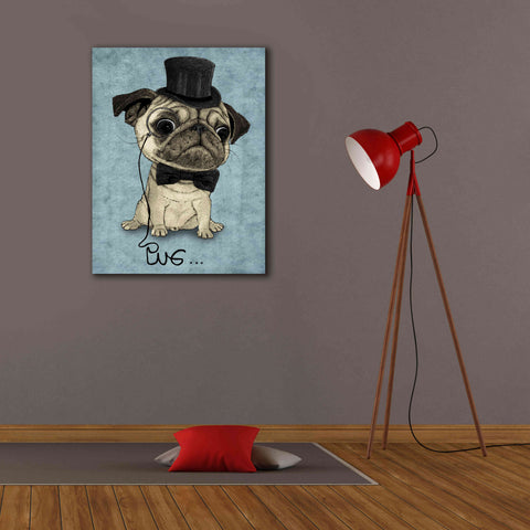 Image of 'Gentle Pug' by Barruf Giclee Canvas Wall Art,26x34