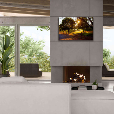 Image of 'Dreamland Vineyard' by Michael Broom Giclee Canvas Wall Art,40x26