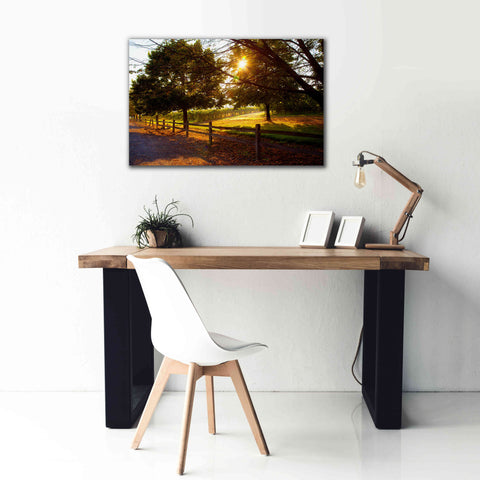 Image of 'Dreamland Vineyard' by Michael Broom Giclee Canvas Wall Art,40x26