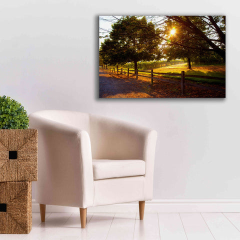 Image of 'Dreamland Vineyard' by Michael Broom Giclee Canvas Wall Art,40x26