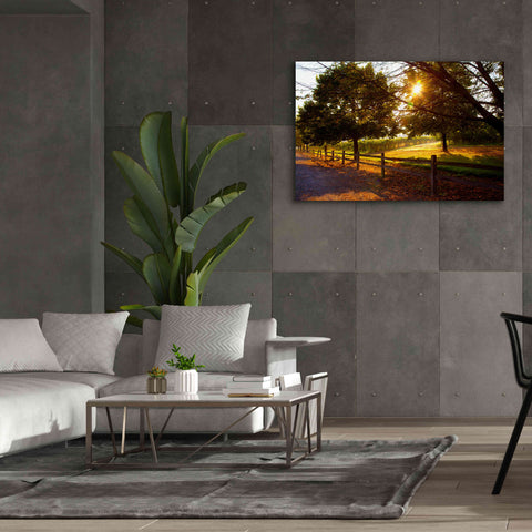 Image of 'Dreamland Vineyard' by Michael Broom Giclee Canvas Wall Art,60x40
