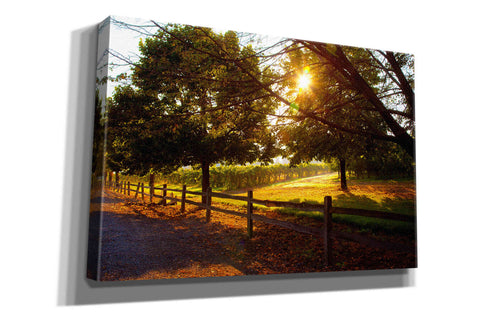 Image of 'Dreamland Vineyard' by Michael Broom Giclee Canvas Wall Art
