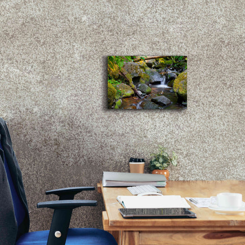 Image of 'Mossy Stream' by Michael Broom Giclee Canvas Wall Art,18x12