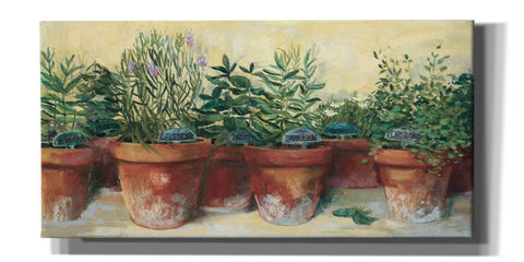 Image of 'Potted Herbs I' by Carol Rowan, Giclee Canvas Wall Art