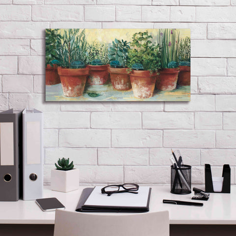 Image of 'Potted Herbs II' by Carol Rowan, Giclee Canvas Wall Art,24x12