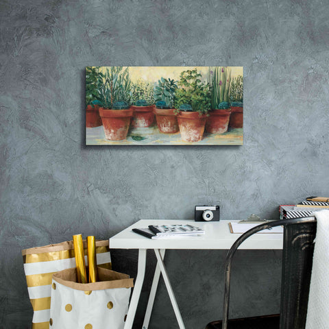 Image of 'Potted Herbs II' by Carol Rowan, Giclee Canvas Wall Art,24x12