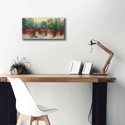 Image of 'Potted Herbs II' by Carol Rowan, Giclee Canvas Wall Art,24x12
