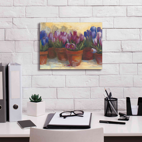 Image of 'Spring Crocus' by Carol Rowan, Giclee Canvas Wall Art,16x12
