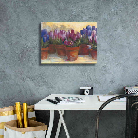 Image of 'Spring Crocus' by Carol Rowan, Giclee Canvas Wall Art,16x12