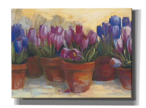 Image of 'Spring Crocus' by Carol Rowan, Giclee Canvas Wall Art
