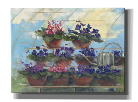 Image of 'Violets' by Carol Rowan, Giclee Canvas Wall Art
