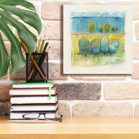 Image of 'Morning Grove' by Mike Schick, Giclee Canvas Wall Art,12x12