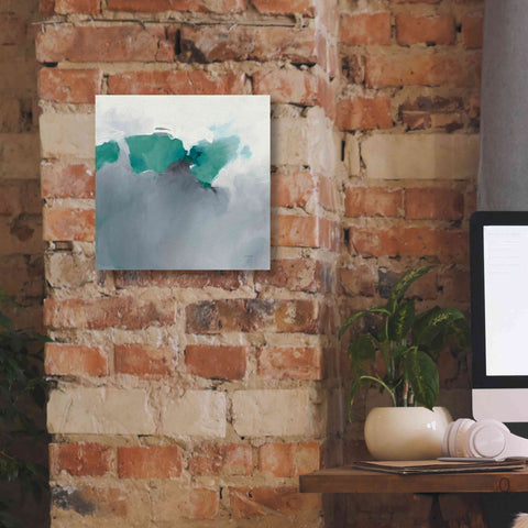 Image of 'Dark To Light Peacock' by Mike Schick, Giclee Canvas Wall Art,12x12