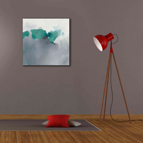 Image of 'Dark To Light Peacock' by Mike Schick, Giclee Canvas Wall Art,26x26