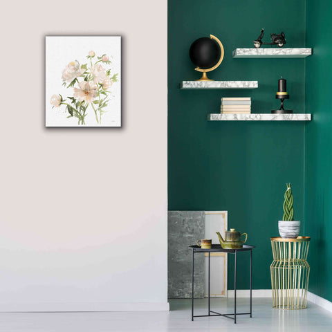 Image of 'Peonies II' by Katrina Pete, Giclee Canvas Wall Art,20x24