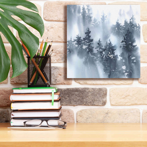 Image of 'Misty Forest I' by Katrina Pete, Giclee Canvas Wall Art,12x12