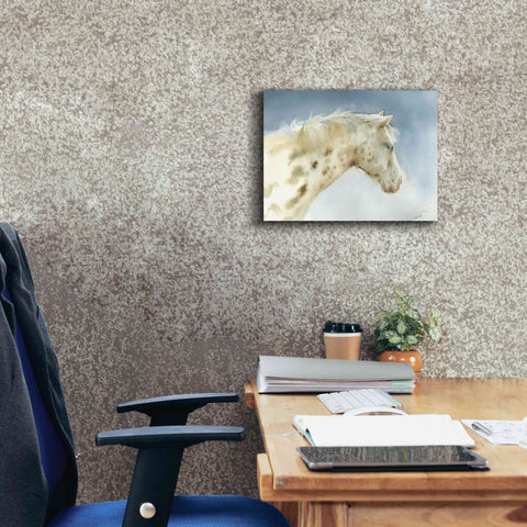 Image of 'Dapple Gray Horse' by Katrina Pete, Giclee Canvas Wall Art,16x12