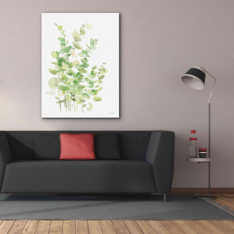 Image of 'Eucalyptus III' by Katrina Pete, Giclee Canvas Wall Art,40x54