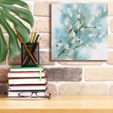 Image of 'Pussy Willows Square' by Katrina Pete, Giclee Canvas Wall Art,12x12