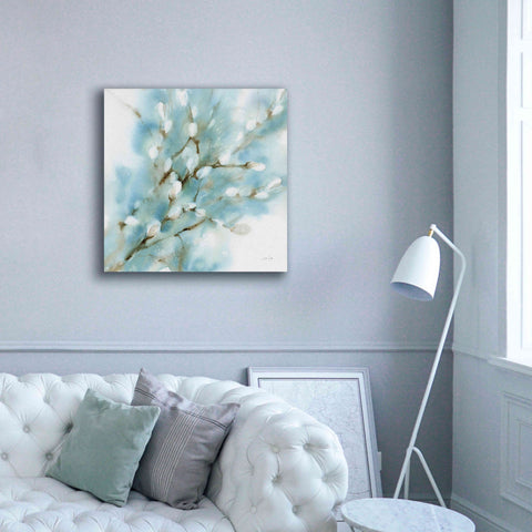 Image of 'Pussy Willows Square' by Katrina Pete, Giclee Canvas Wall Art,37x37