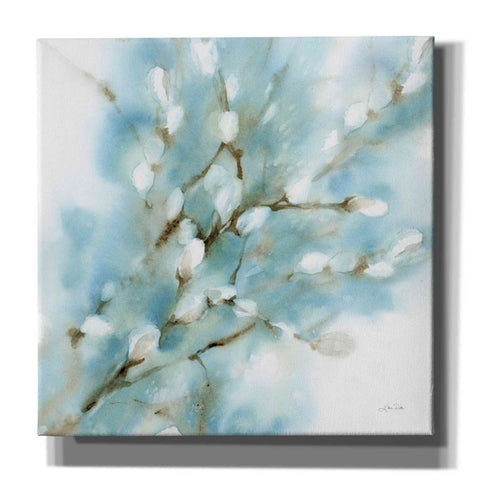 Image of 'Pussy Willows Square' by Katrina Pete, Giclee Canvas Wall Art