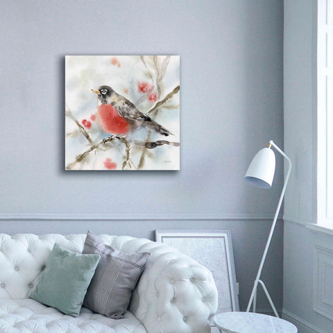 Image of 'Winter Robin' by Katrina Pete, Giclee Canvas Wall Art,37x37