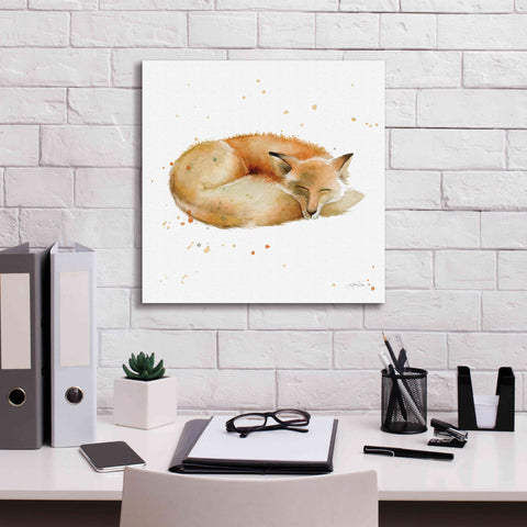 Image of 'Sleeping Fox' by Katrina Pete, Giclee Canvas Wall Art,18x18