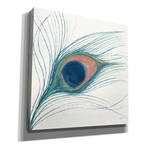 Image of 'Peacock Feather I Blue' by Miranda Thomas, Giclee Canvas Wall Art