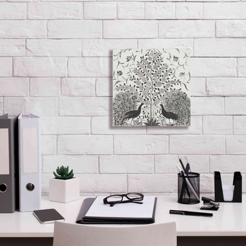 Image of 'Peacock Garden VIII BW' by Miranda Thomas, Giclee Canvas Wall Art,12x12