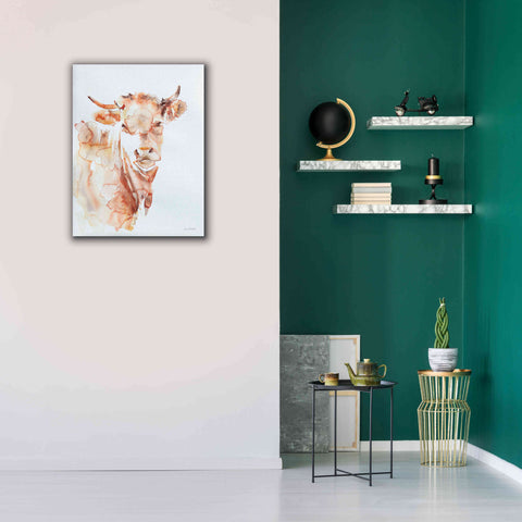 Image of 'Village Cow' by Alan Majchrowicz, Giclee Canvas Wall Art,26x34