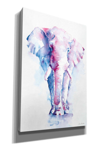 Image of 'An Elephant Never Forgets' by Alan Majchrowicz, Giclee Canvas Wall Art