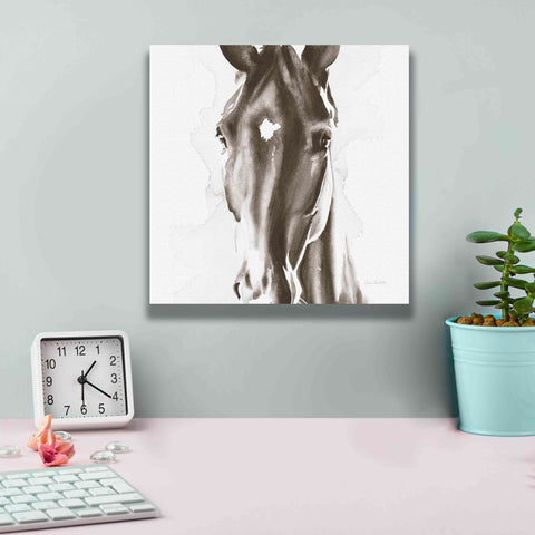 Image of 'Le Cheval Noir Brown' by Alan Majchrowicz, Giclee Canvas Wall Art,12x12