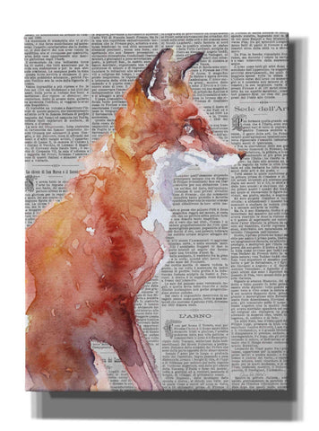 Image of 'Sly As A Fox Newsprint' by Alan Majchrowicz, Giclee Canvas Wall Art