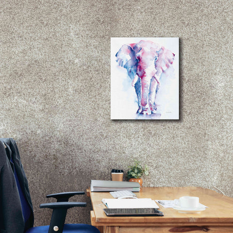 Image of 'An Elephant Never Forgets V2' by Alan Majchrowicz, Giclee Canvas Wall Art,20x24