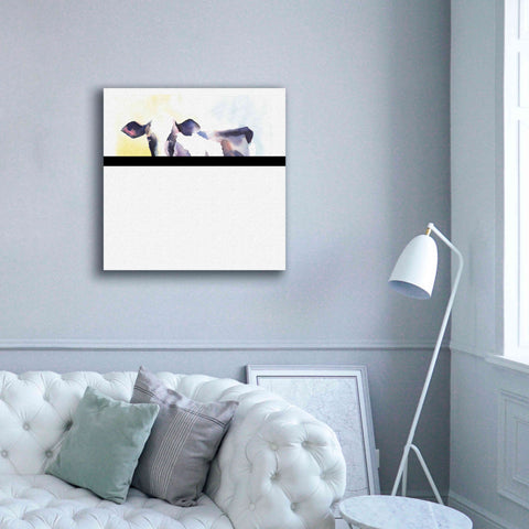 Image of 'Holstein IV' by Alan Majchrowicz, Giclee Canvas Wall Art,37x37
