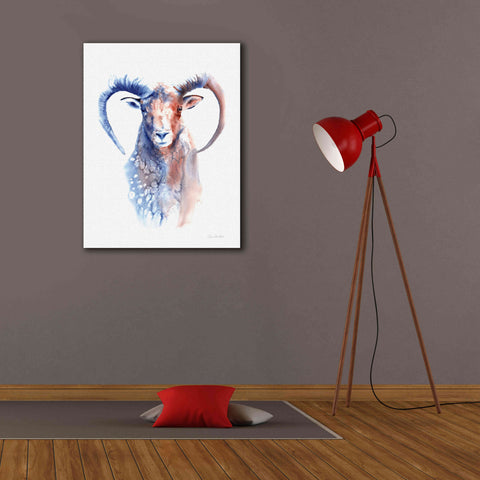 Image of 'Copper And Blue Ram' by Alan Majchrowicz, Giclee Canvas Wall Art,26x34