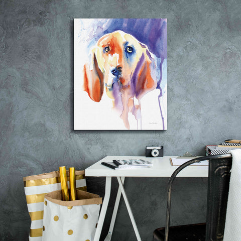 Image of 'Basset Hound' by Alan Majchrowicz, Giclee Canvas Wall Art,20x24
