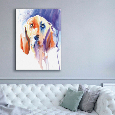 Image of 'Basset Hound' by Alan Majchrowicz, Giclee Canvas Wall Art,40x54