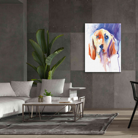 Image of 'Basset Hound' by Alan Majchrowicz, Giclee Canvas Wall Art,40x54