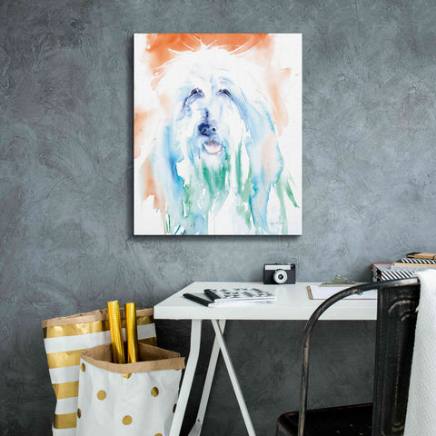 Image of 'Sheep Dog' by Alan Majchrowicz, Giclee Canvas Wall Art,20x24