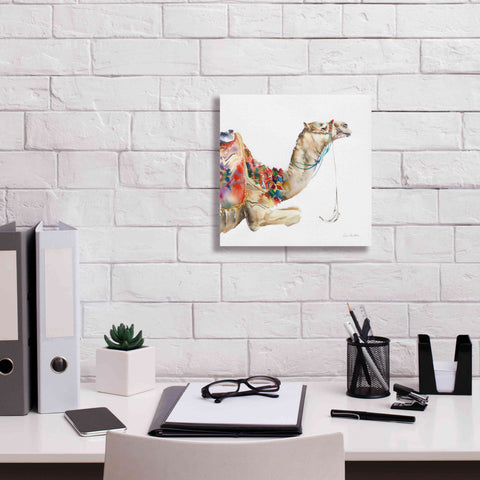 Image of 'Desert Camel I' by Alan Majchrowicz, Giclee Canvas Wall Art,12x12