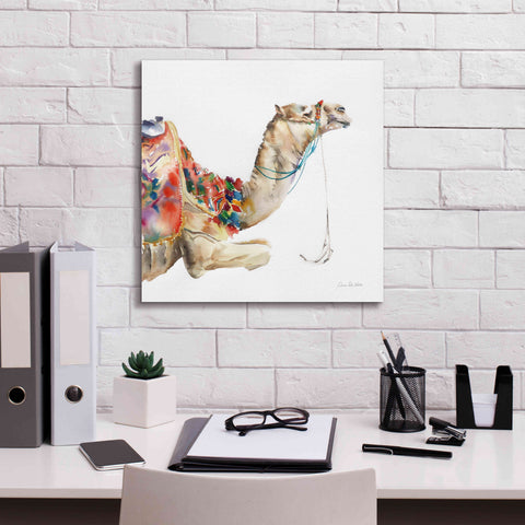 Image of 'Desert Camel I' by Alan Majchrowicz, Giclee Canvas Wall Art,18x18