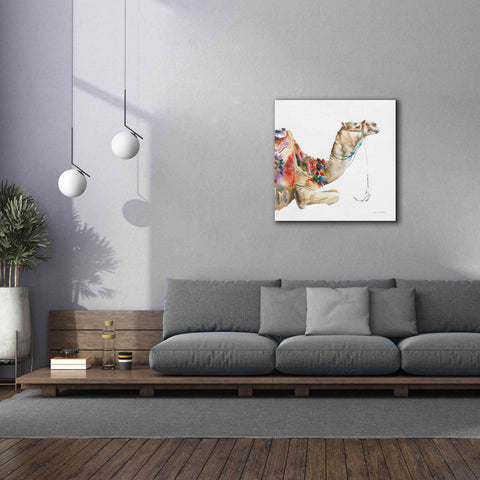 Image of 'Desert Camel I' by Alan Majchrowicz, Giclee Canvas Wall Art,37x37